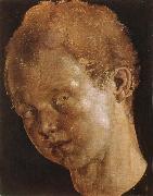 Albrecht Durer Head of a boy facing toward the left France oil painting artist